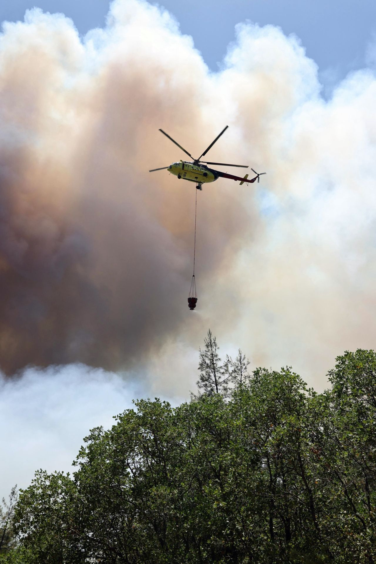 Sakarya yangını Bilecik'e sıçradı, köyler tahliye edildi! Alevlerin teslim aldığı bölgeden korkunç kareler - Sayfa 12