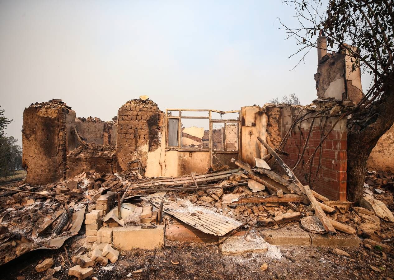 Sakarya yangını Bilecik'e sıçradı, köyler tahliye edildi! Alevlerin teslim aldığı bölgeden korkunç kareler - Sayfa 9