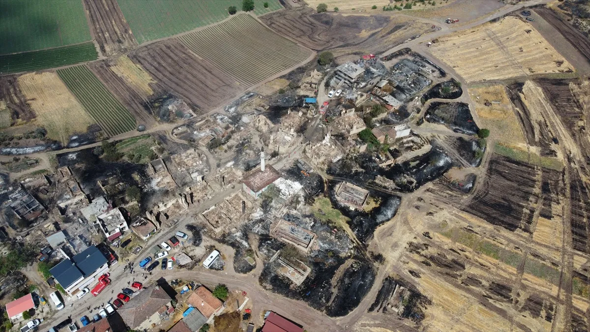 Bilecik'te hasarın kareleri: Orman yangını o köyü yok etti! - Sayfa 6