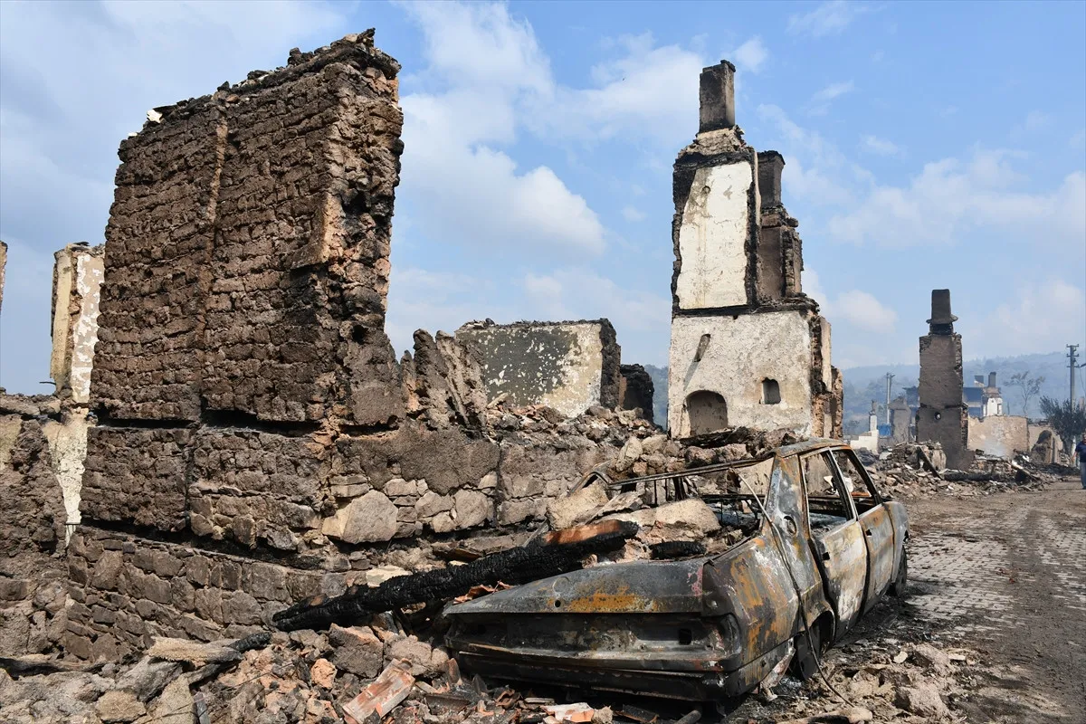 Bilecik'te hasarın kareleri: Orman yangını o köyü yok etti! - Sayfa 7