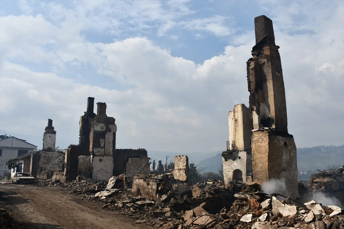 Bilecik'te hasarın kareleri: Orman yangını o köyü yok etti! - Sayfa 8