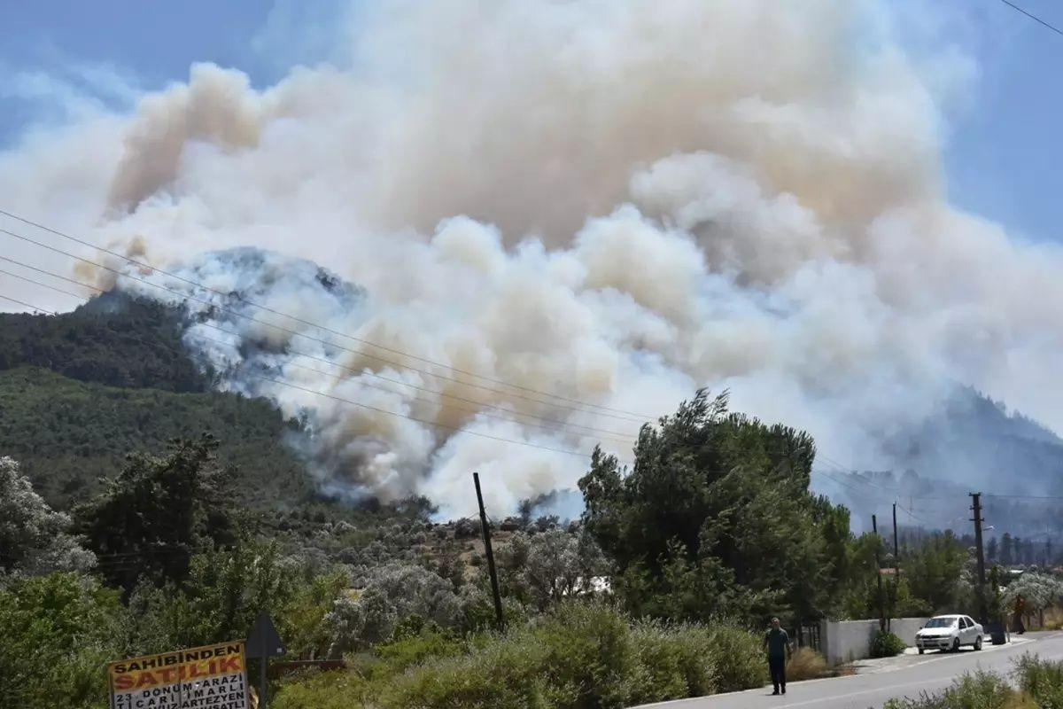 İzmir alev altında! Menderes–Seferihisar hattında orman yangını büyüyor - Sayfa 5