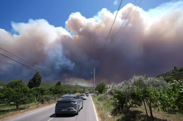 İzmir alev altında! Menderes–Seferihisar hattında orman yangını büyüyor - Sayfa 4