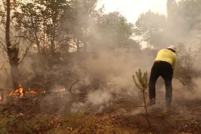 Türkiye’nin ciğerleri yanıyor: 150 orman yangını çıktı, Köprücek köyü küle döndü! - Sayfa 6