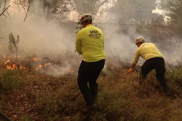 Türkiye’nin ciğerleri yanıyor: 150 orman yangını çıktı, Köprücek köyü küle döndü! - Sayfa 5