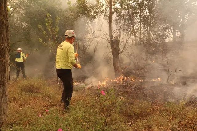Türkiye’nin ciğerleri yanıyor: 150 orman yangını çıktı, Köprücek köyü küle döndü! - Sayfa 7
