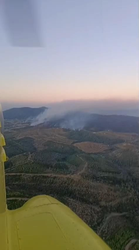 İzmir’de alevlerin gölgesinde ikinci gün: Yangın kabusu sürüyor, onlarca ev kül oldu! - Sayfa 6