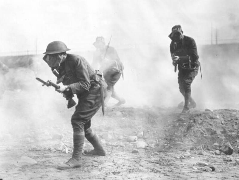 Biyolojik saldırı altında olabiliriz: Orman yangınlarının yarattığı canavar keneler - Sayfa 12