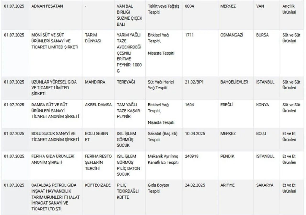 Gıda güvenliğinde alarm! Bakanlık yeni listeyi paylaştı! Köfte diye at eşek eti yedirmişler - Sayfa 6