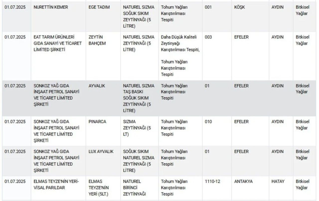 Gıda güvenliğinde alarm! Bakanlık yeni listeyi paylaştı! Köfte diye at eşek eti yedirmişler - Sayfa 7