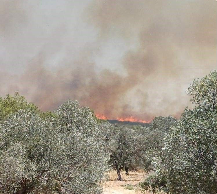 Çeşme'de yangın büyüdü, yazlık evler tahliye edildi, 5 uçak ve 18 helikopterle müdahale sürüyor - Sayfa 5