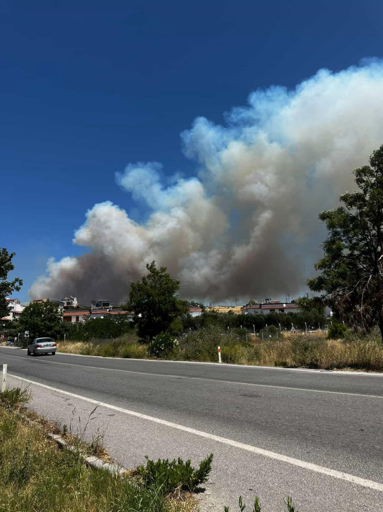 Çeşme'de yangın büyüdü, yazlık evler tahliye edildi, 5 uçak ve 18 helikopterle müdahale sürüyor - Sayfa 7