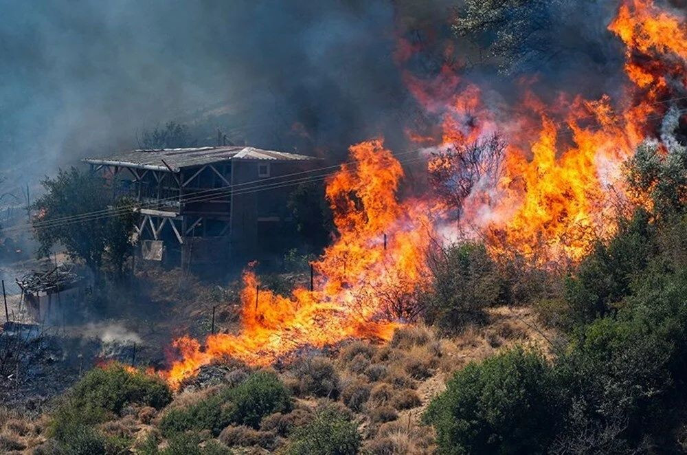 Biyolojik saldırı altında olabiliriz: Orman yangınlarının yarattığı canavar keneler - Sayfa 16