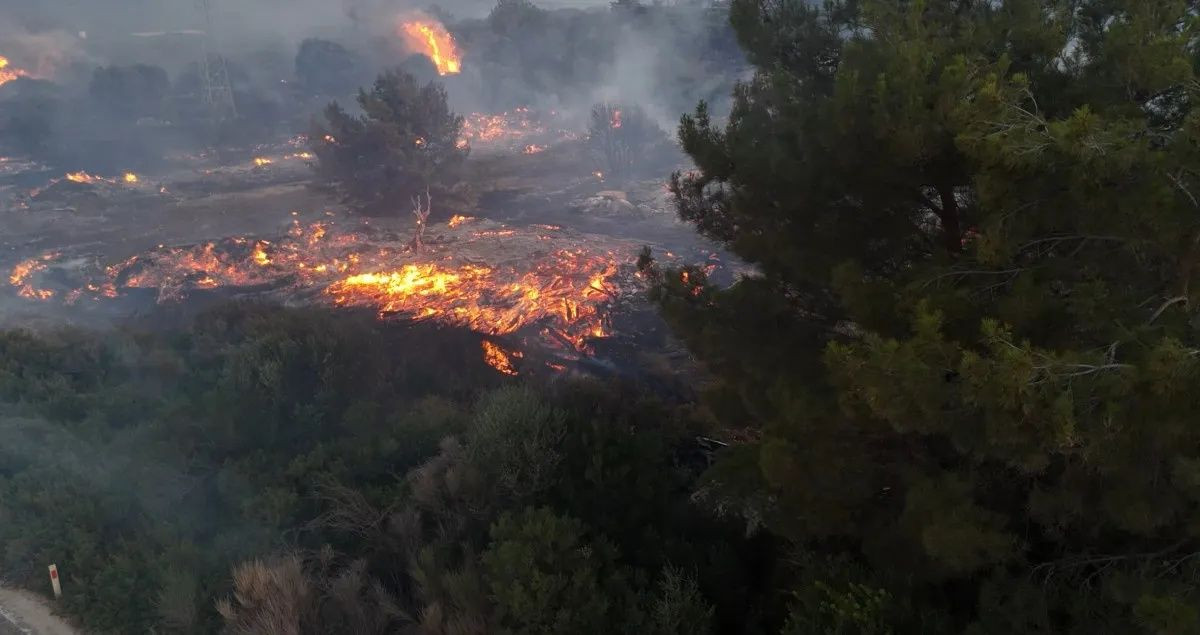 Çeşme'de yangın felaketi! Alevler villalara kadar ulaştı... Can kaybı var! Yangının sebebi elektrik hattı mı? - Sayfa 5