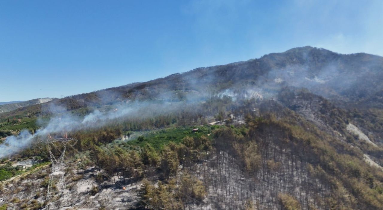 Yangınlarda son durum: Muğla Milas ve Saruhanlı'da alevler kontrol altında - Sayfa 7