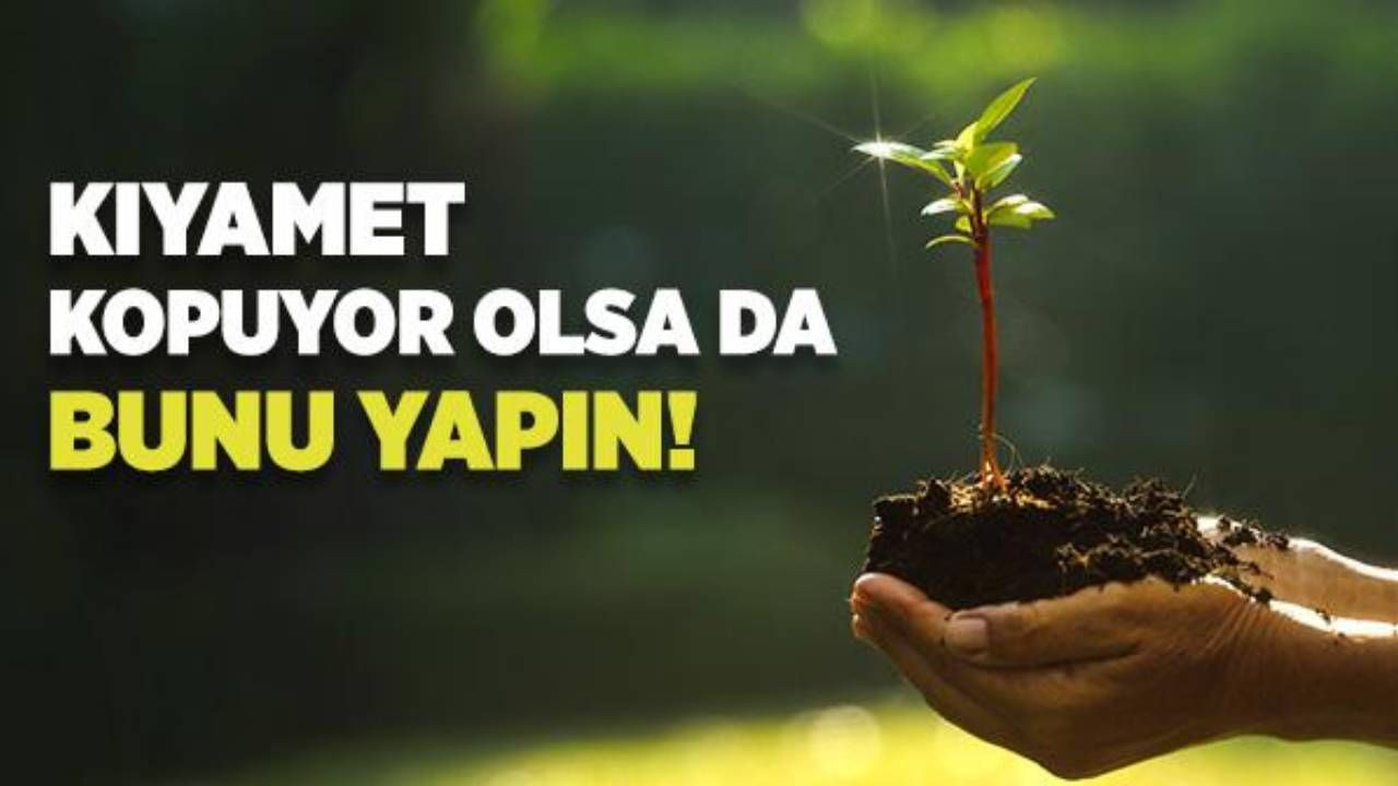 Büyük yangın travmamız! Tarihte ilk itfaiye teşkilatını neden Türkler kurdu? - Sayfa 1