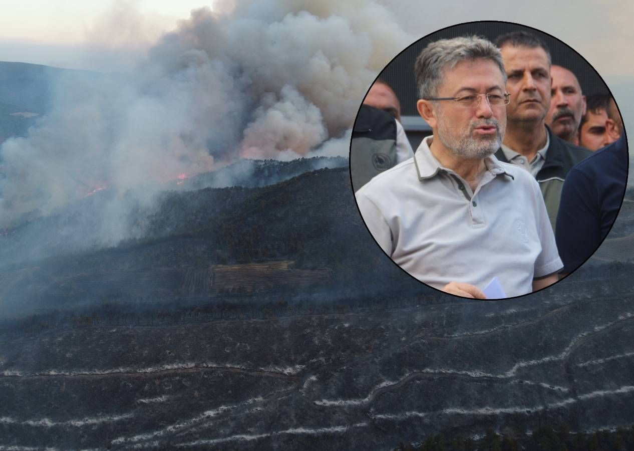 Yangınlarda son durum: Muğla Milas ve Saruhanlı'da alevler kontrol altında - Sayfa 1