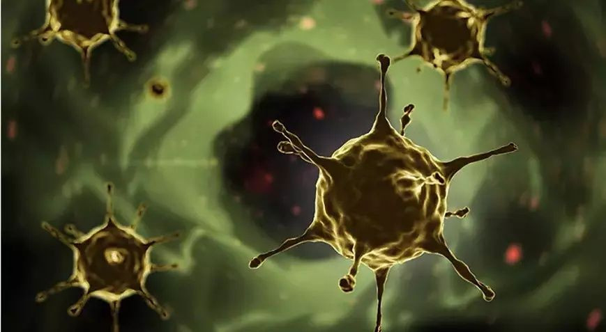 Meclis'ten tüm Türkiye'ye yayıldı: Kusma ve ishal salgını büyüyor, uzmanlardan şebeke suyu uyarısı! - Sayfa 5