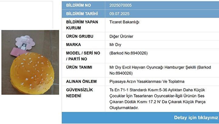 Ticaret Bakanlığı'ndan sert denetim: Zara, D&P ve Mr Dıy ürünlerine toplatma kararı! - Sayfa 4