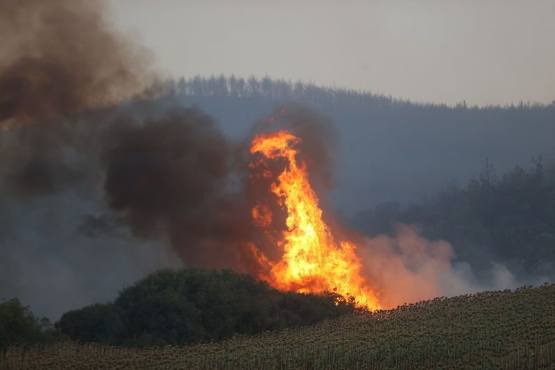 Tekirdağ ve Çanakkale'de orman yangınları büyüyor: Köyler boşaltıldı, bazı evler yandı, hastaneye kaldırılanlar var - Sayfa 7