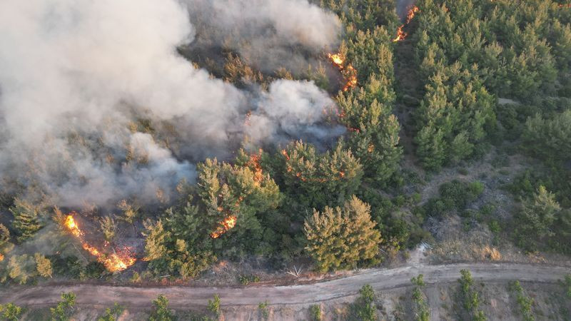 Tekirdağ ve Çanakkale'de orman yangınları büyüyor: Köyler boşaltıldı, bazı evler yandı, hastaneye kaldırılanlar var - Sayfa 5