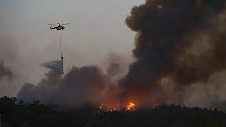 Eskişehir ve İzmir alev alev: Yangınlar yayılıyor! 61 orman yangını, 23 gözaltı, 4 tutuklama... - Sayfa 5