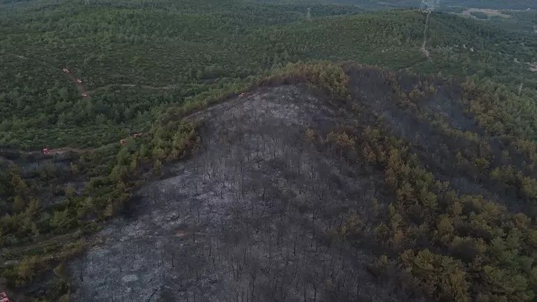 Eskişehir ve İzmir alev alev: Yangınlar yayılıyor! 61 orman yangını, 23 gözaltı, 4 tutuklama... - Sayfa 3