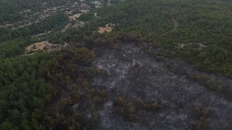 Eskişehir ve İzmir alev alev: Yangınlar yayılıyor! 61 orman yangını, 23 gözaltı, 4 tutuklama... - Sayfa 4