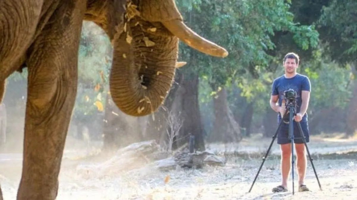 Güney Afrika’da altı tonluk bir filin saldırısına uğrayan CEO hayatını kaybetti! - Sayfa 3