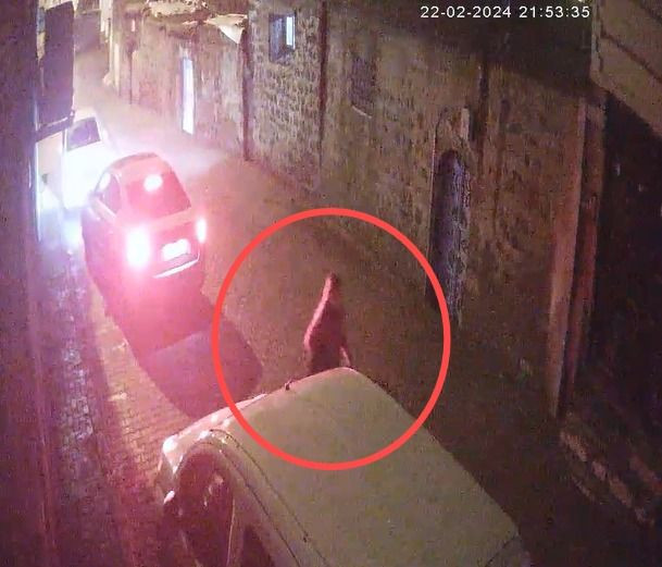 Siverek'te Pınar hemşireyi kim öldürdü? Kocası intihar dedi, Adli Tıp tam tersini söyledi... - Sayfa 9