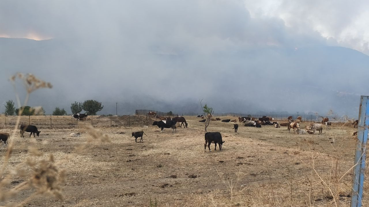 Karabük'te 1.839 vatandaş güvenli yerlere tahliye edildi; 19 köy, 57 mahalle! Alevlerle 5 gündür mücadele - Sayfa 7