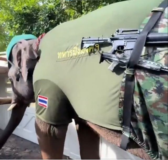 Tayland-Kamboçya sınırında çatışmalar tırmanıyor: Can kaybı 32’ye çıktı, Tayland ordusu sınıra fil gönderdi - Sayfa 3