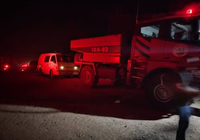 Bursa orman yangınında son durum:  Bin kişilik ordu geceyi uykusuz geçirdi! Yangının enerjisi düşürüldü... Tahribat gün ağarınca ortaya çıktı - Sayfa 2