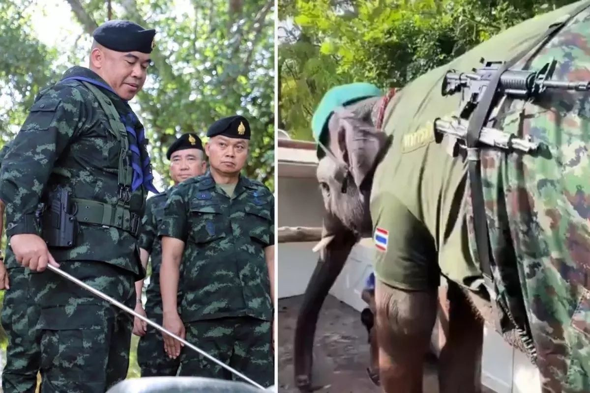 Tayland-Kamboçya sınırında çatışmalar tırmanıyor: Can kaybı 32’ye çıktı, Tayland ordusu sınıra fil gönderdi - Sayfa 1