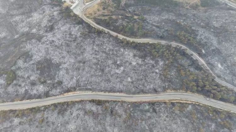 Bursa orman yangınında son durum:  Bin kişilik ordu geceyi uykusuz geçirdi! Yangının enerjisi düşürüldü... Tahribat gün ağarınca ortaya çıktı - Sayfa 9