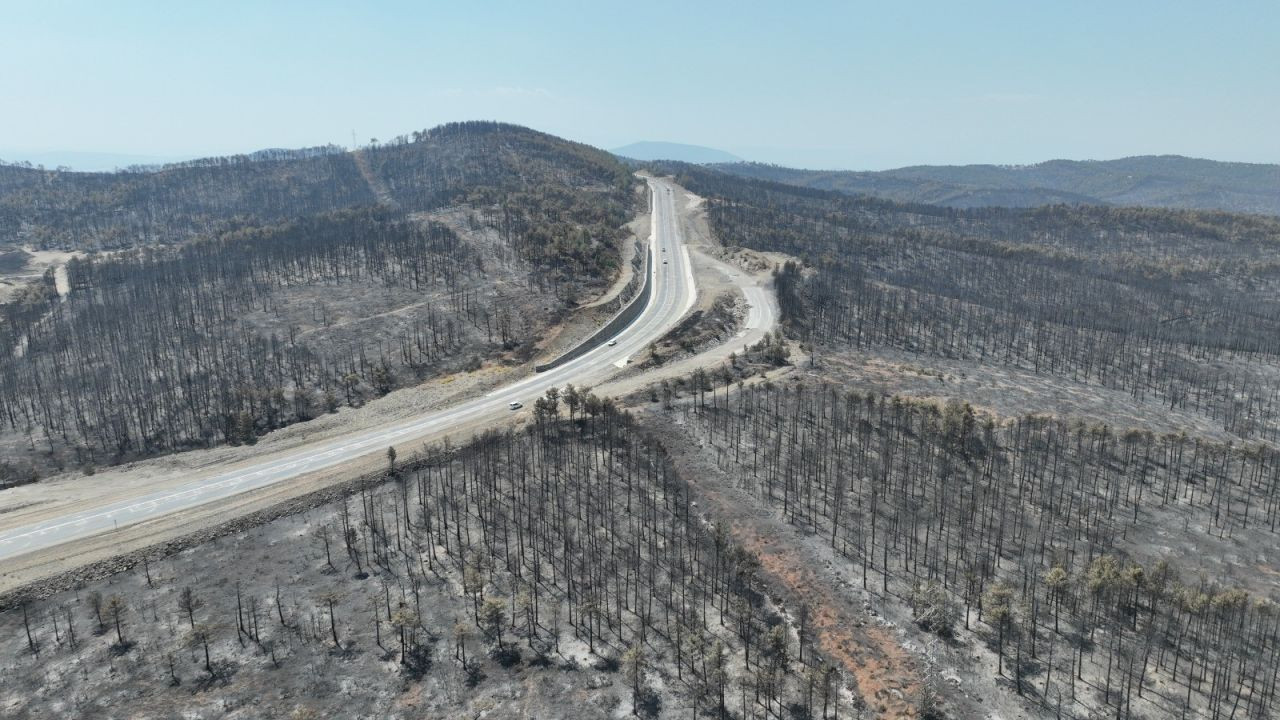 Allah'ın hikmeti... Bursa'da orman yangınının ortasında kalan 48 dönümlük şeftali bahçesi zarar görmedi - Sayfa 12