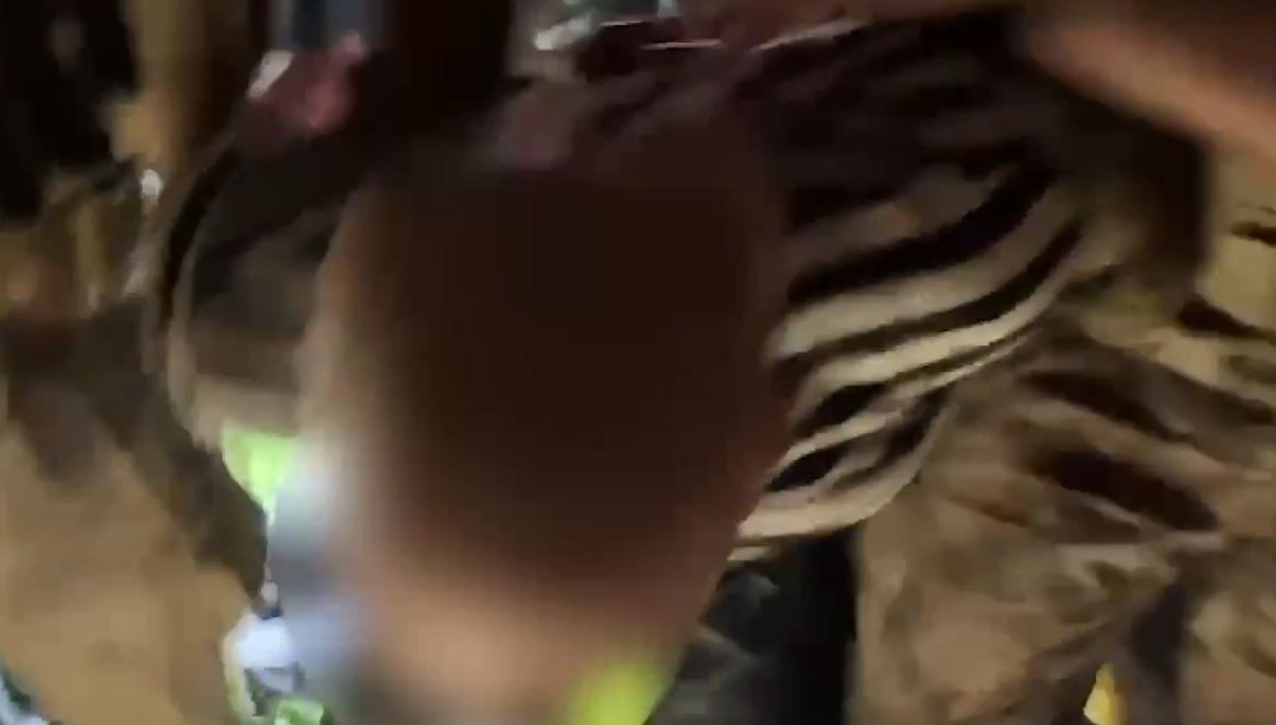 Sinem Topaloğlu cinayeti: Ali Eren Somuncu ormana kaçmış, saçlarını kazıtmış! Çadır kurarken yakalandı, işte ifadesi... - Sayfa 13