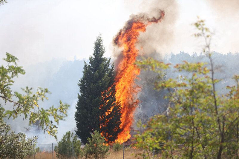Kırklareli Babaeski'de orman yangını: Avrupa Otoyolu trafiğe kapandı - Sayfa 2