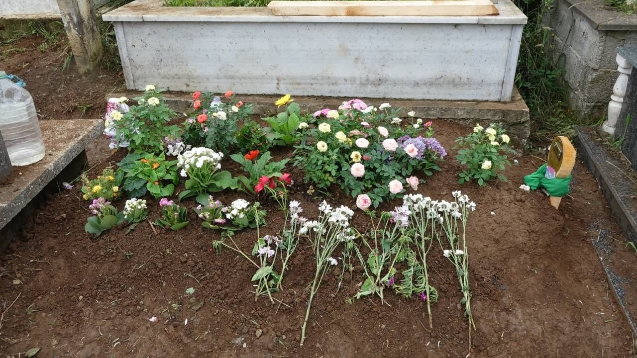 Sinem Topaloğlu'nun cinayetten 2 saat önceki fotoğrafı ve mesajı kahretti! Eve gelir diye dışarda yiyormuş - Sayfa 8