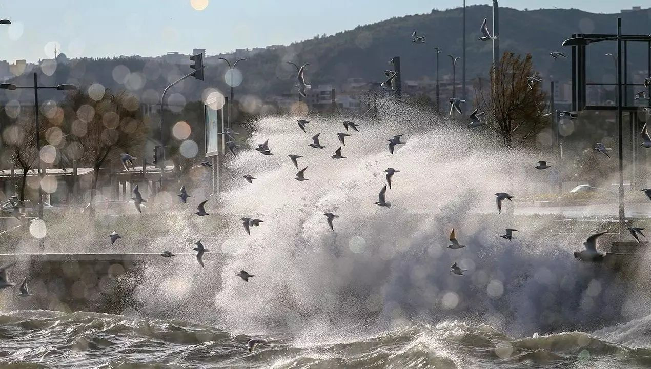 Şemsiyesiz evden çıkmayın: İstanbul güne sağanakla uyandı! Meteoroloji gün verip uyardı: Daha şiddetlisi geliyor! - Sayfa 4