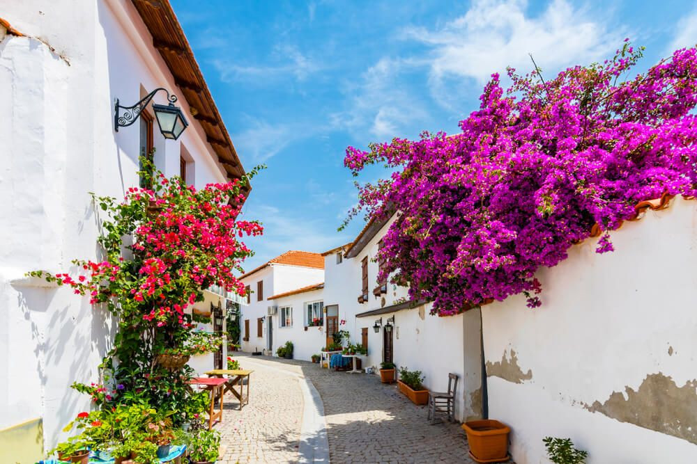 Ege’nin saklı cenneti Sığacık: Tarih, deniz ve lezzet bir arada - Sayfa 1