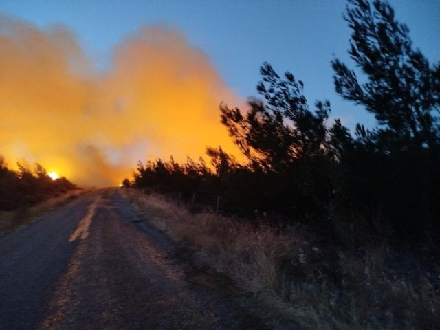 Çanakkale'de kabus sürüyor... Fırtına gibi esen rüzgar alevleri taşıdı, 5 köy boşaltıldı! - Sayfa 2