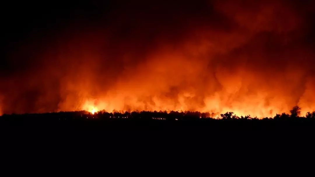 Edirne'de yangın kabusu! Alevler devasa boyutlara ulaştı...  Evler, ahırlar kül oldu! Ekipler zamanla yarışıyor! - Sayfa 2