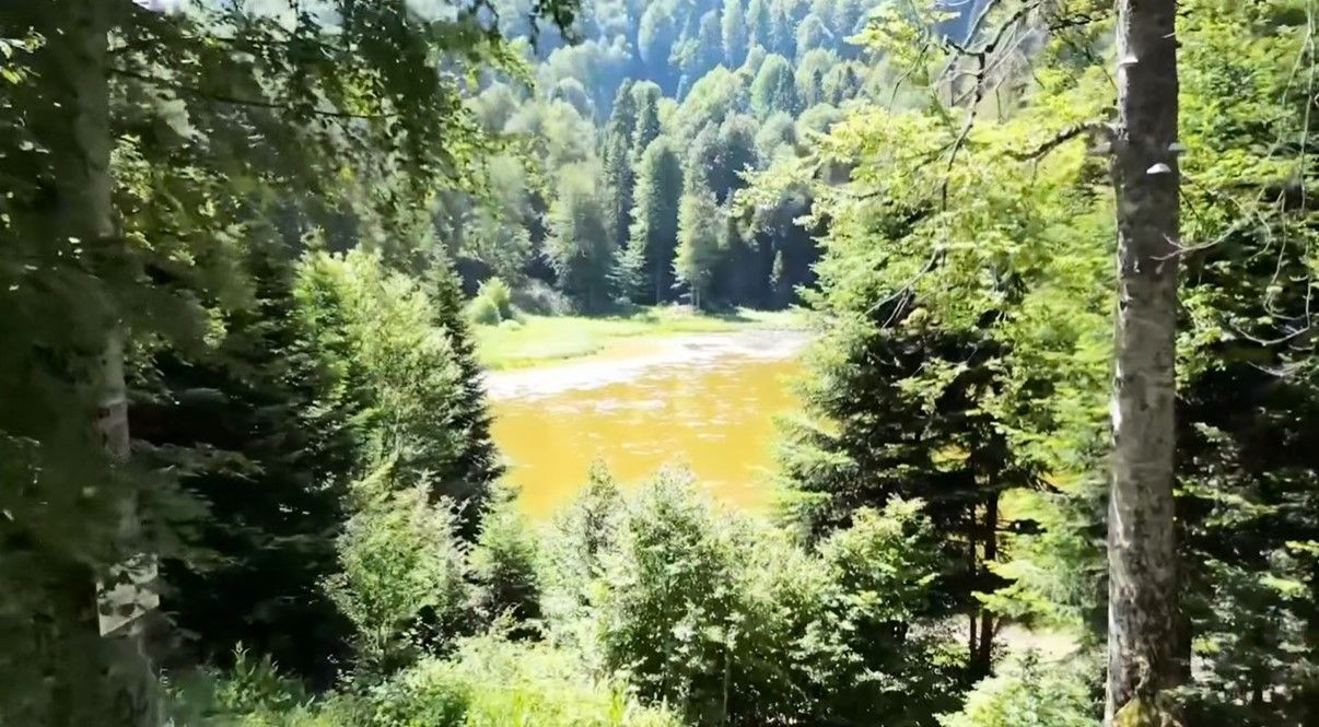 Galatasaray Düzce'ye tesis yapacak, Dursun Özbek arsa bakmaya gidiyor - Sayfa 3
