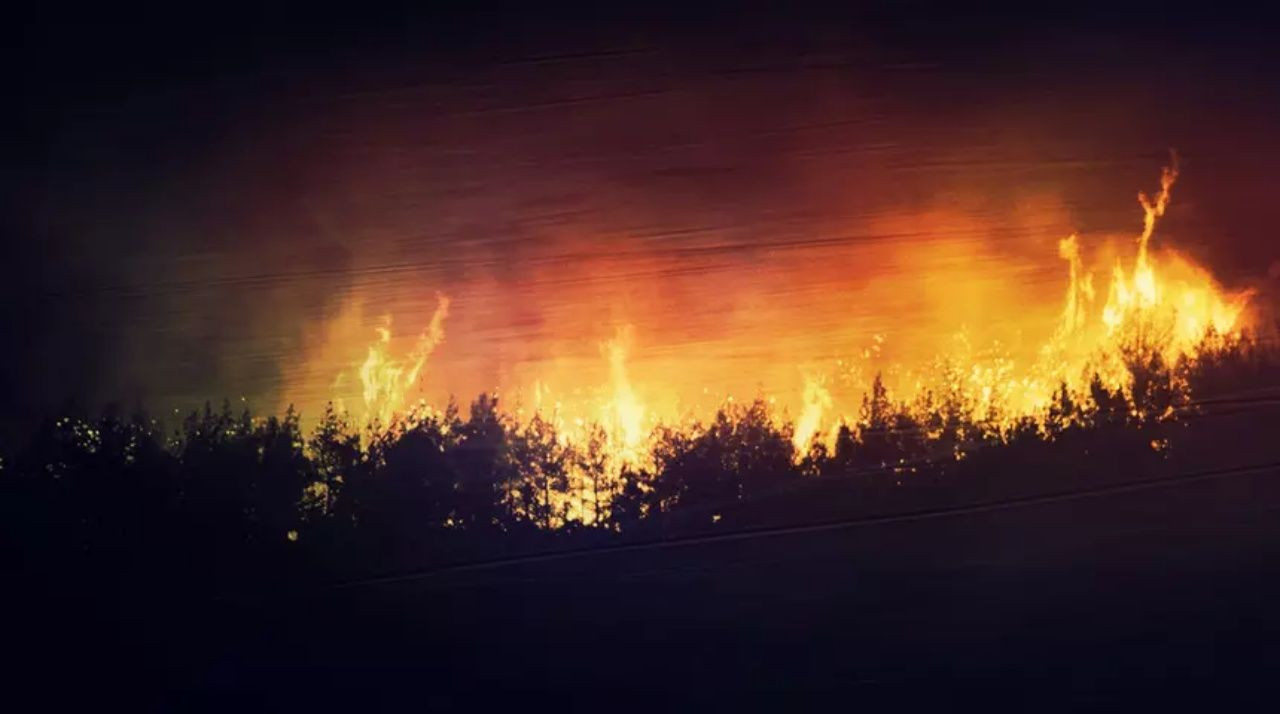 Çanakkale'de orman yangını devam ediyor! Yeni açıklama geldi... İkinci bir duyuruya kadar tarihi alanlara girişler durduruldu - Sayfa 1