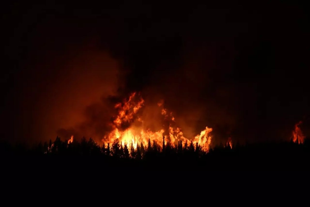 Çanakkale'de orman yangını devam ediyor! Yeni açıklama geldi... İkinci bir duyuruya kadar tarihi alanlara girişler durduruldu - Sayfa 2