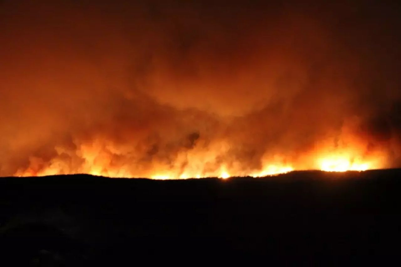Çanakkale'de orman yangını devam ediyor! Yeni açıklama geldi... İkinci bir duyuruya kadar tarihi alanlara girişler durduruldu - Sayfa 4