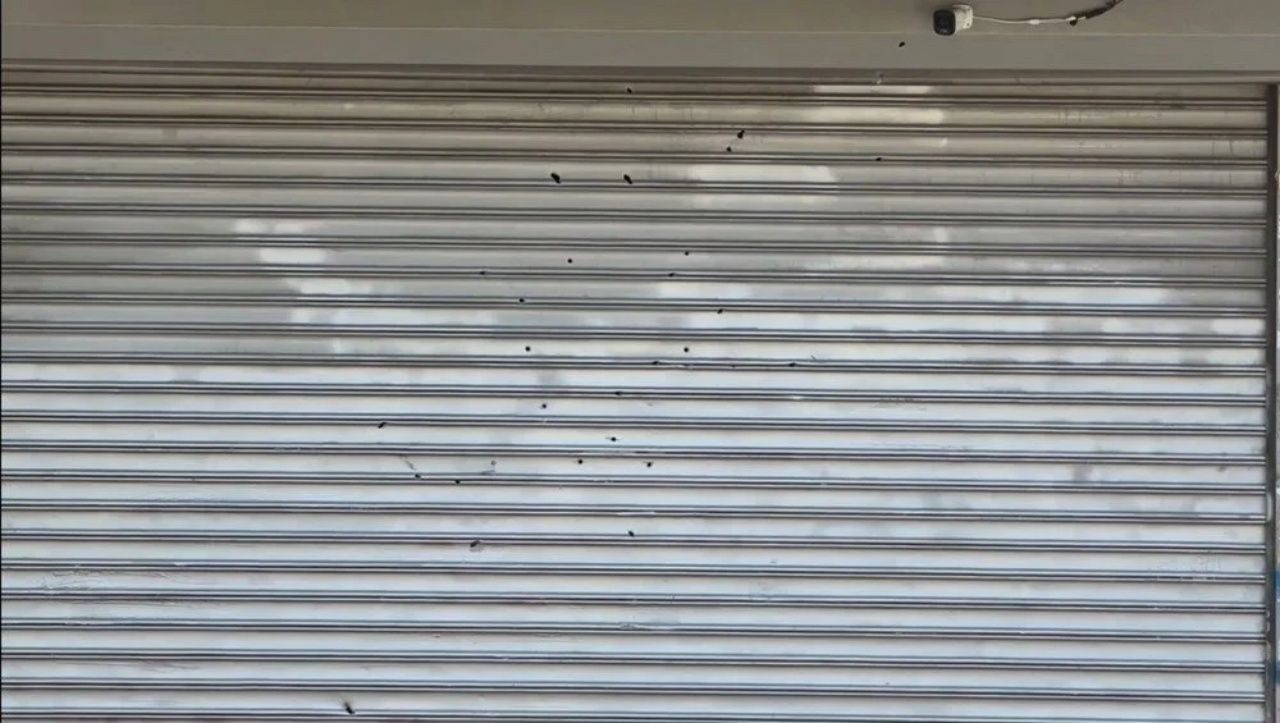 "Size beyaz eşya alacağım" dedi! Eski eşinin dükkanını 14 yaşındaki çocuklara kurşunlattı - Sayfa 7