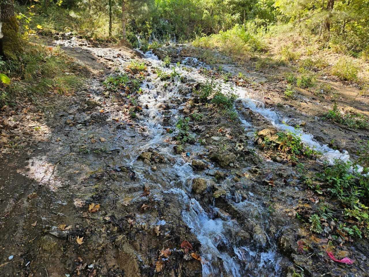 Yer altındaki dengeler bozuldu! 6.1’lik deprem Sındırgı’nın termal haritasını değiştirdi! - Sayfa 1