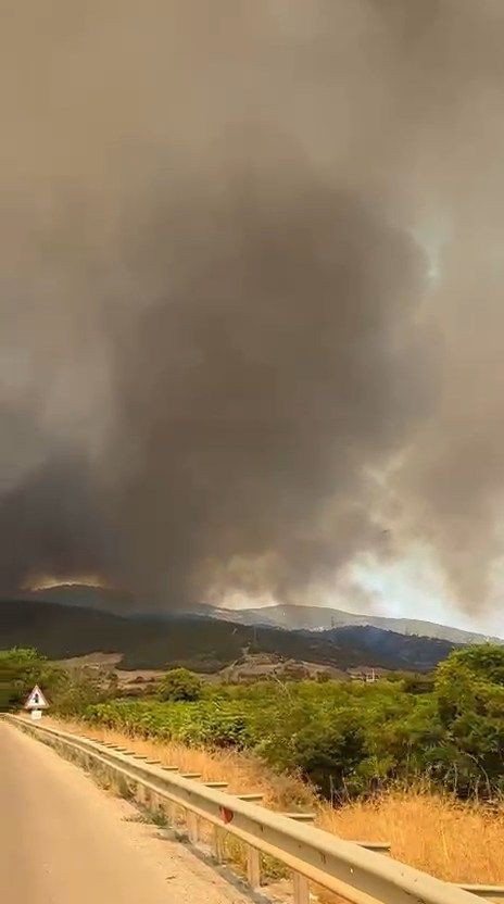 Bursa'da orman yangını! Alevler mahalle sınırına ulaştı... Kara yolu trafiğe kapatıldı! Camiden anons yapılıp vatandaşlar uyarıldı - Sayfa 2